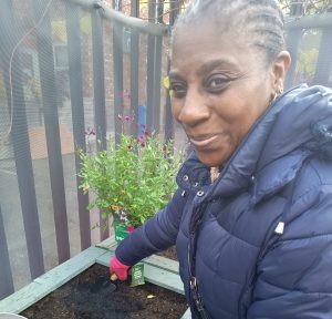 Woman smiling and planting plant in soil